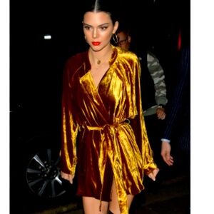 Kendall Jenner ALC Gold Velvet Dress - size 4, mint condition